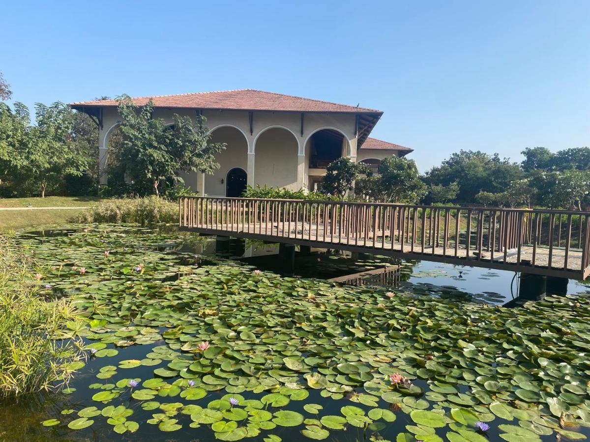 Bhanu The Fern Forest Resort & Spa, Jambughoda Kültér fotó